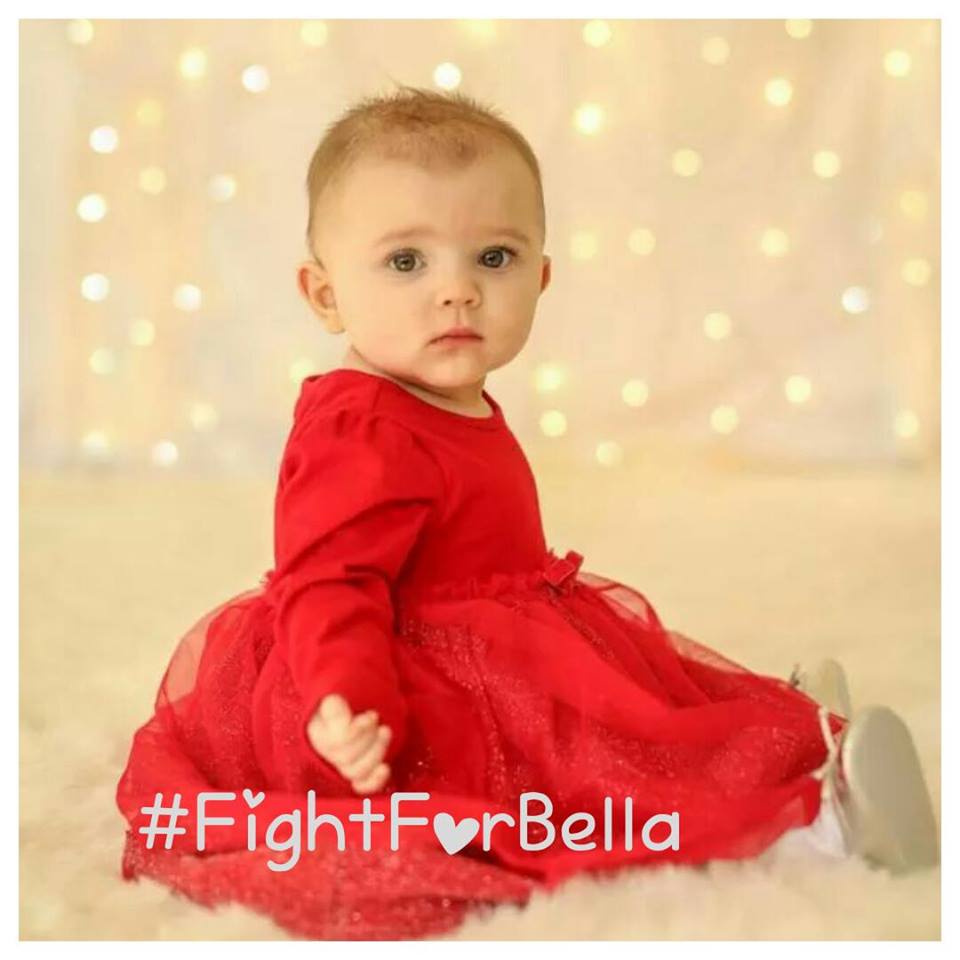 Bella fight for Bella