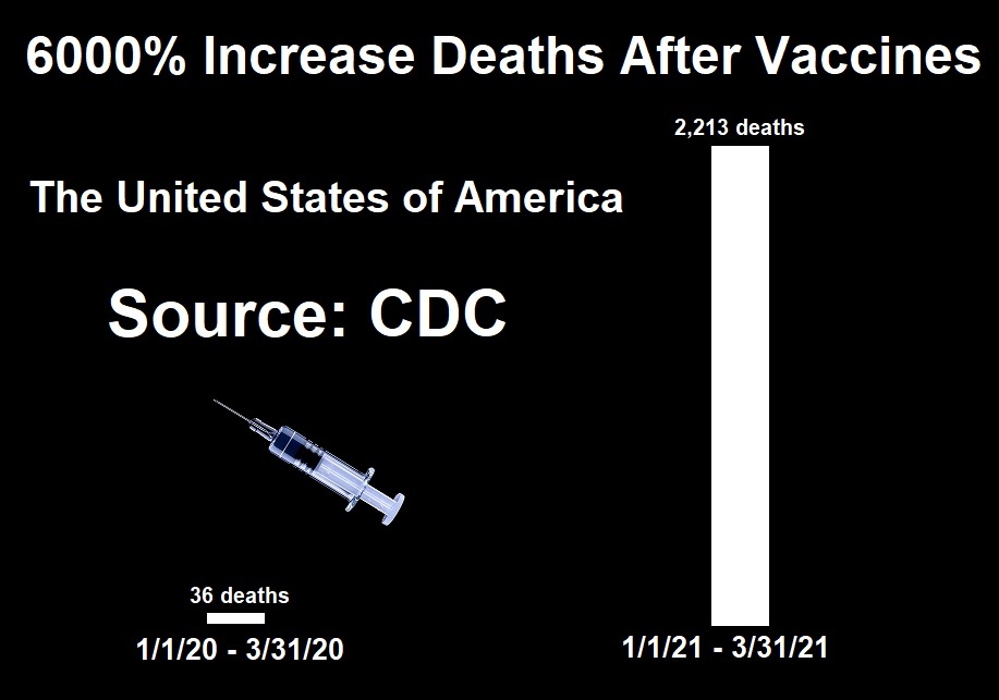 first-quarter-vaccine-deaths-2021.jpg