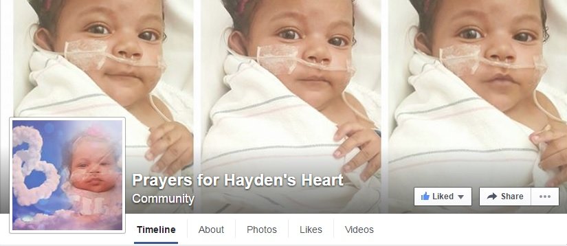 Hayden FB page